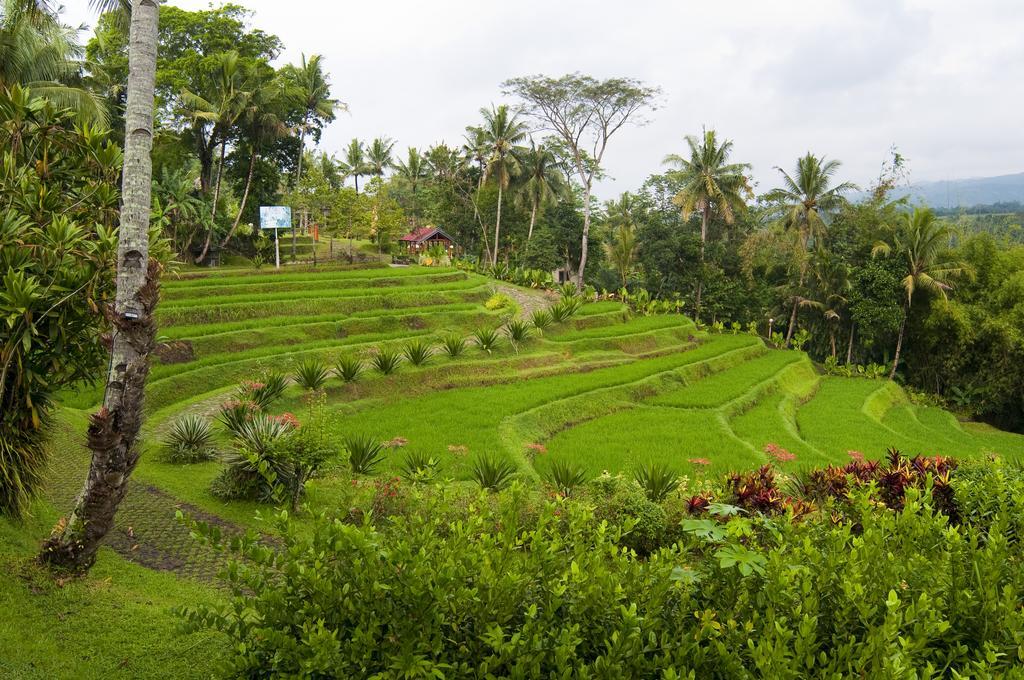 ปูริ อัสรี โฮเทล แอนด์ รีสอร์ต มาเกอลัง Hotel ภายนอก รูปภาพ